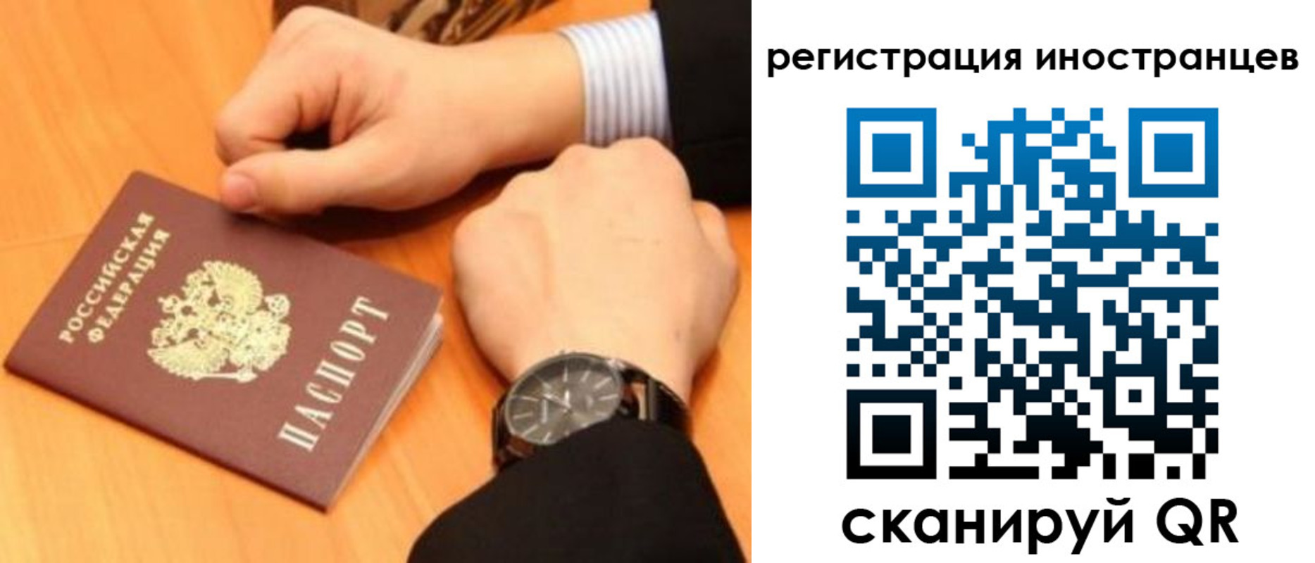 прописка гарантия в Нововоронеже